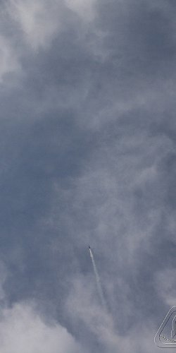 2012 Svojek mirek patek